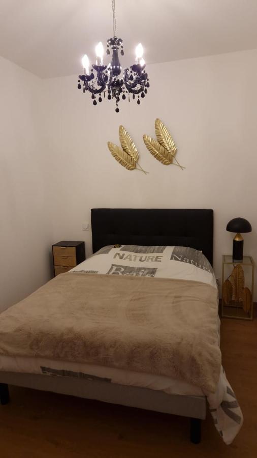 Appartement Cosy Centre Ville Roanne Ngoại thất bức ảnh