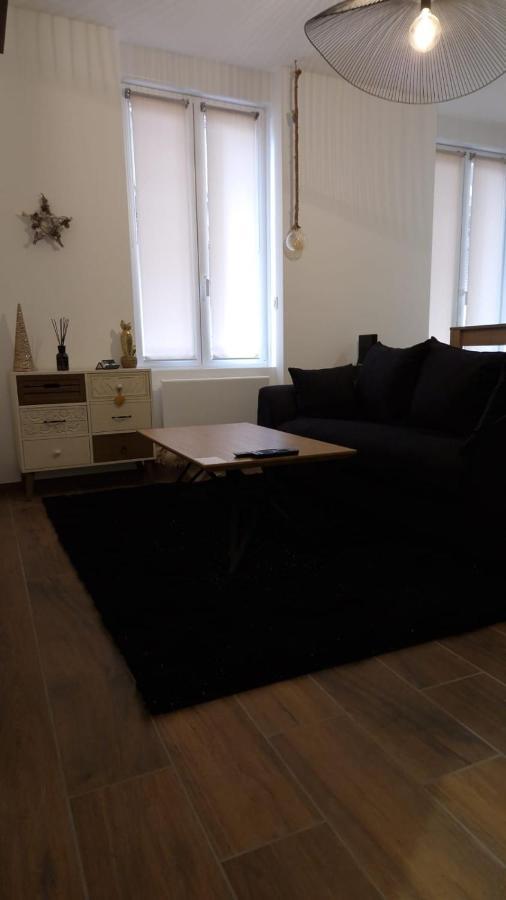 Appartement Cosy Centre Ville Roanne Ngoại thất bức ảnh