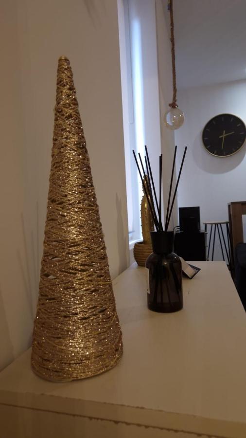 Appartement Cosy Centre Ville Roanne Ngoại thất bức ảnh