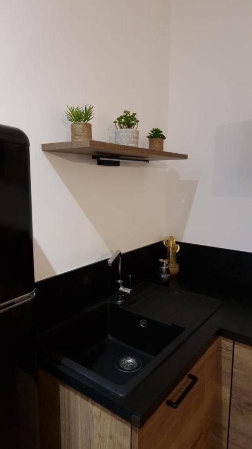 Appartement Cosy Centre Ville Roanne Ngoại thất bức ảnh