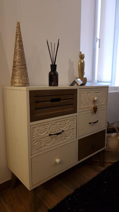 Appartement Cosy Centre Ville Roanne Ngoại thất bức ảnh
